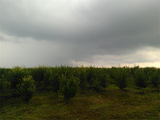 ʡִũҵͲʾĿݰְؼָ