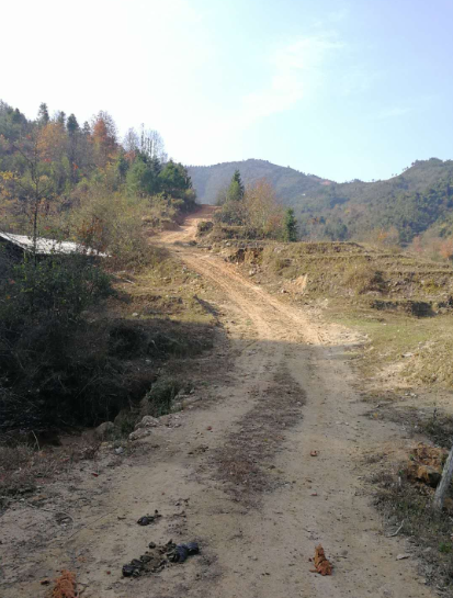 市林业产业发展管理局组织人员深入宜黄县督查公路项目