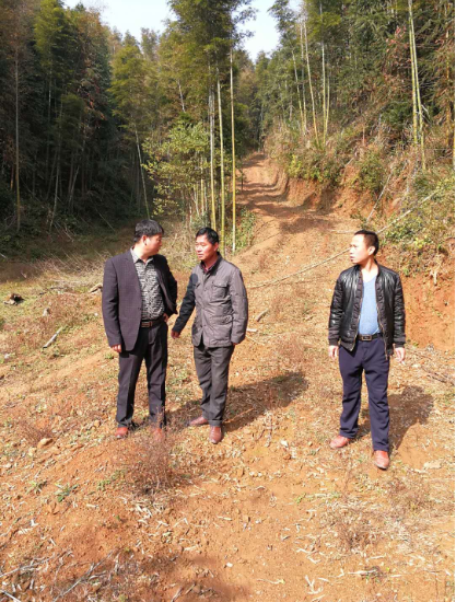 市林业产业发展管理局组织人员深入乐安县督查公路项目