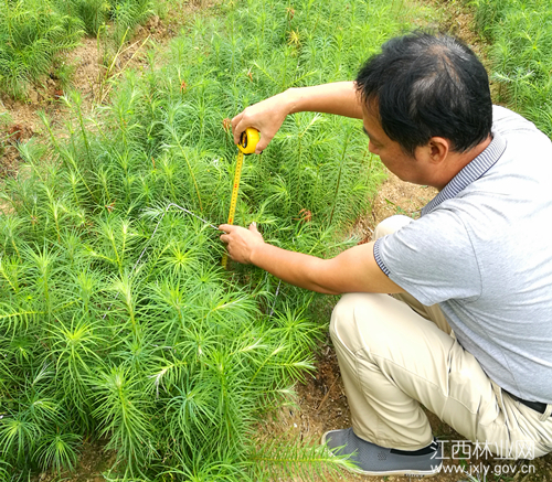 1513930231114808.jpg 20171017085427120.jpg