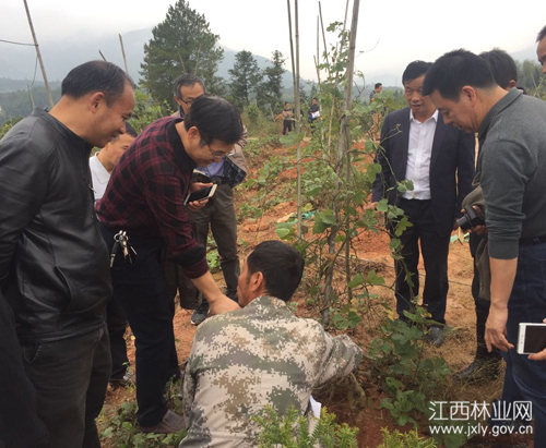 1513931339524600.jpg 20171114091457426.jpg