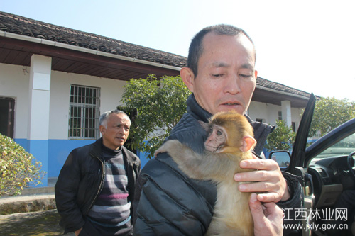 1513932146127937.jpg 20171221093031531.jpg