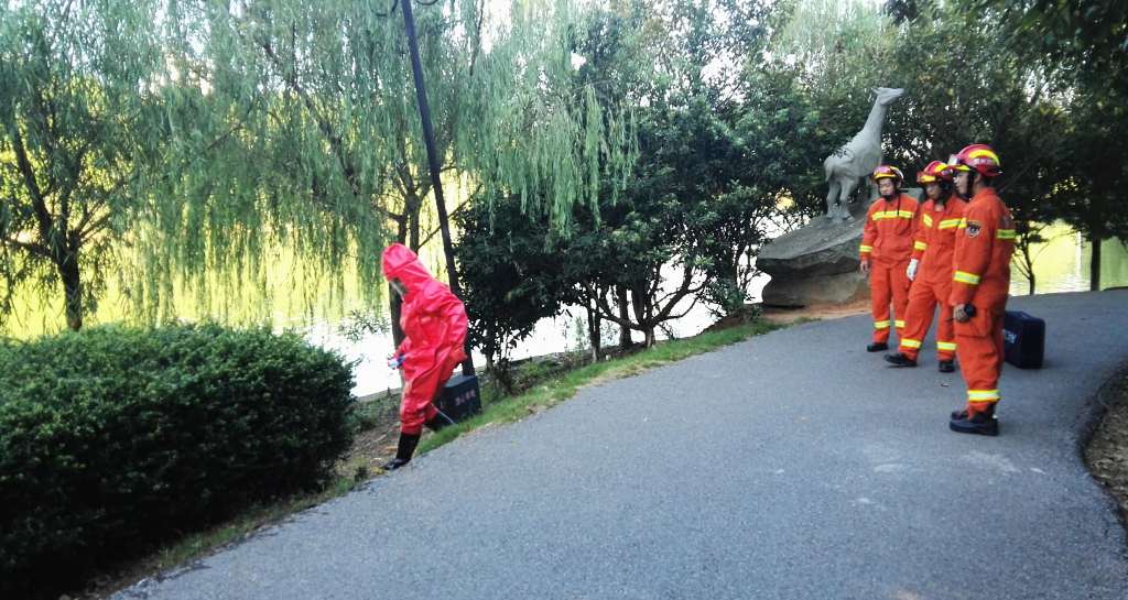 1514533212135631.jpg 摘除马蜂窝_1024_545_58.jpg