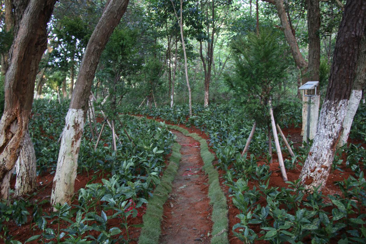 1514534691663248.png 图片1.png