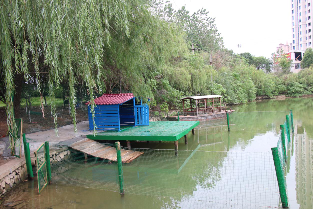 1514534789667681.png 天鹅栖息排.png